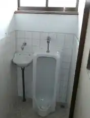 View 14