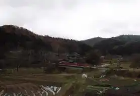 View 18