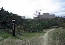 View 12