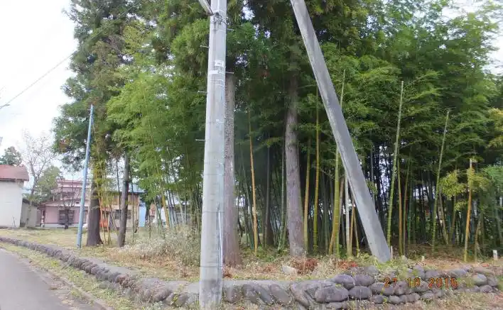 View 16