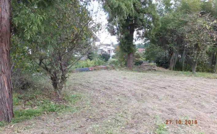 View 17