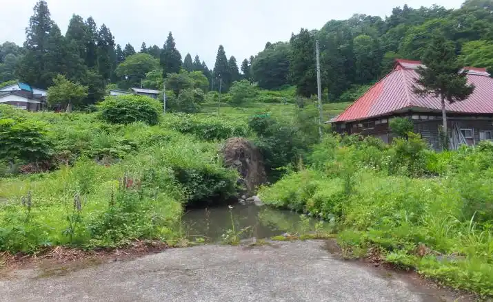 View 15