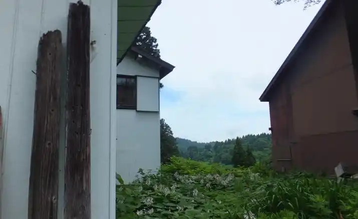 View 16