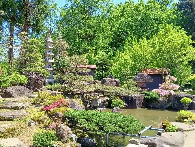 View 12