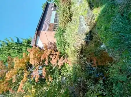View 12