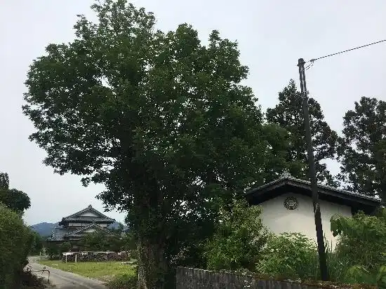 View 13