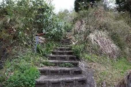 View 12