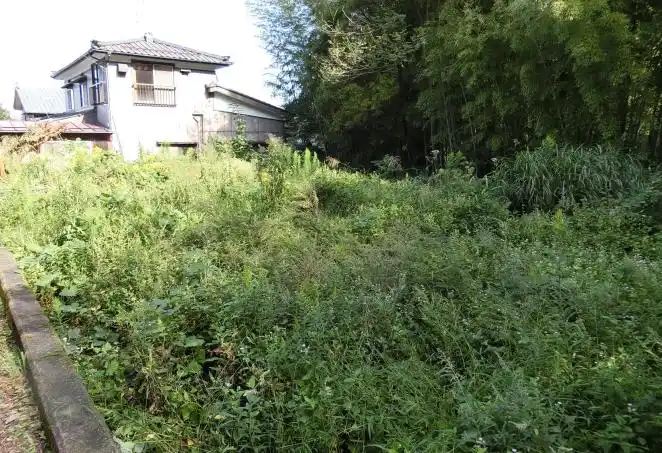 View 3