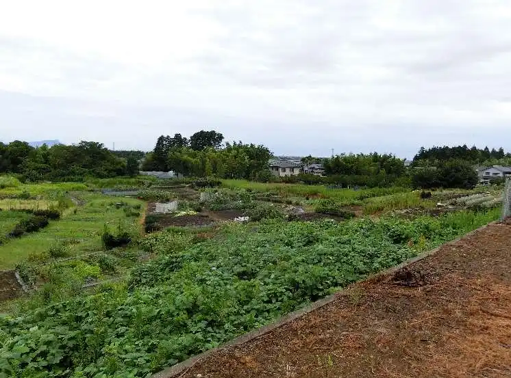 View 4