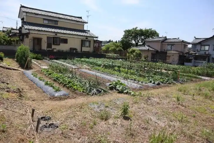 View 2