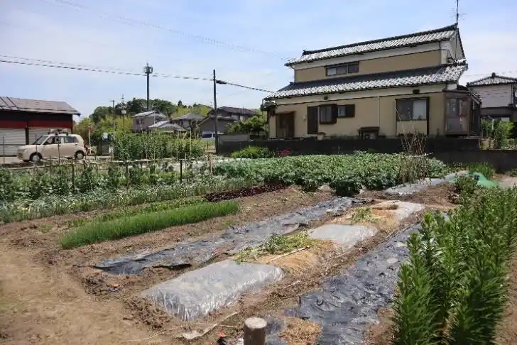 View 3