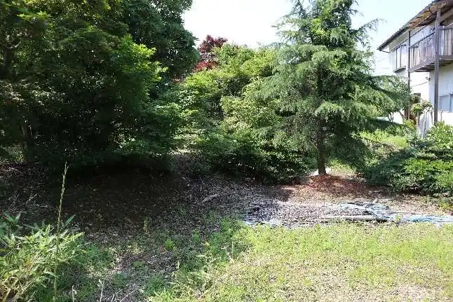 View 3