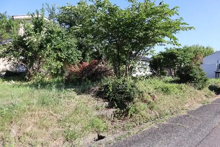 View 2
