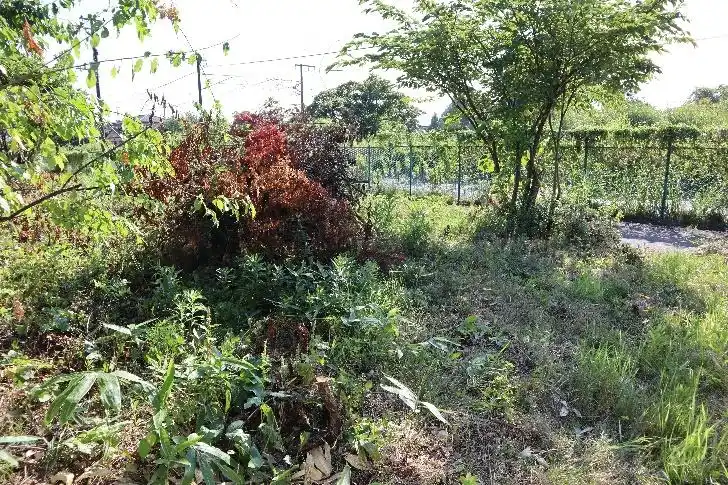 View 3