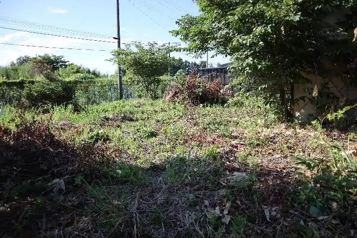 View 4