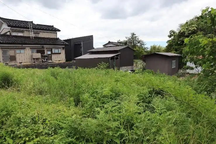 View 3