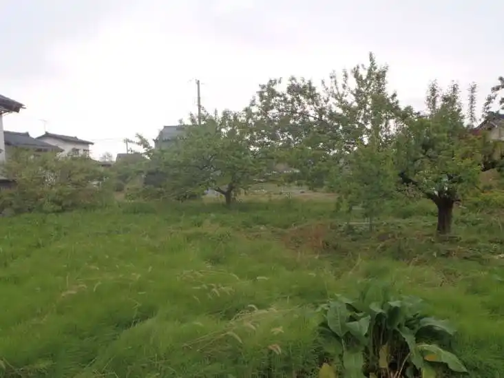 View 3