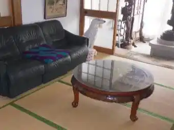 View 18
