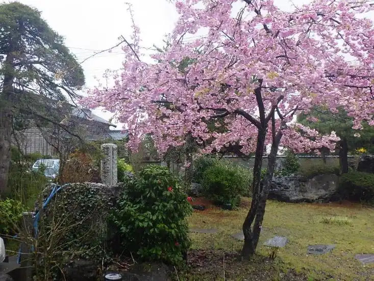 View 2