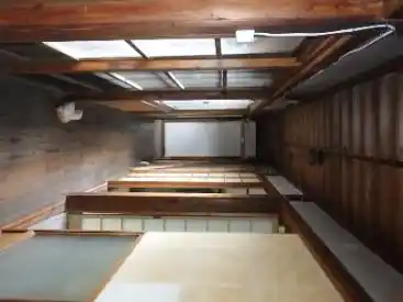 View 14