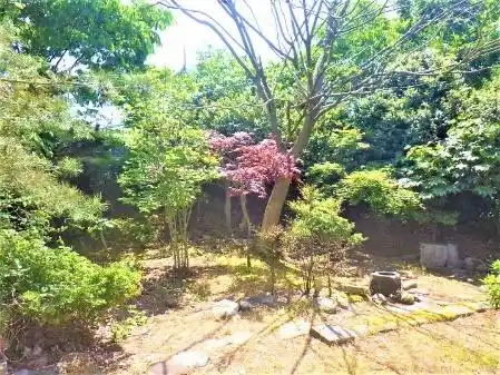 View 17