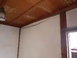 View 15