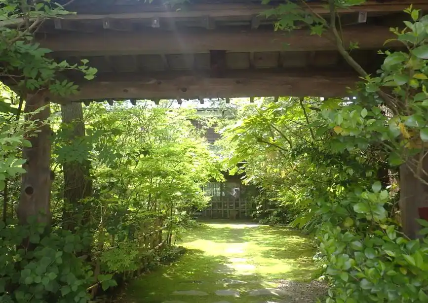 View 11