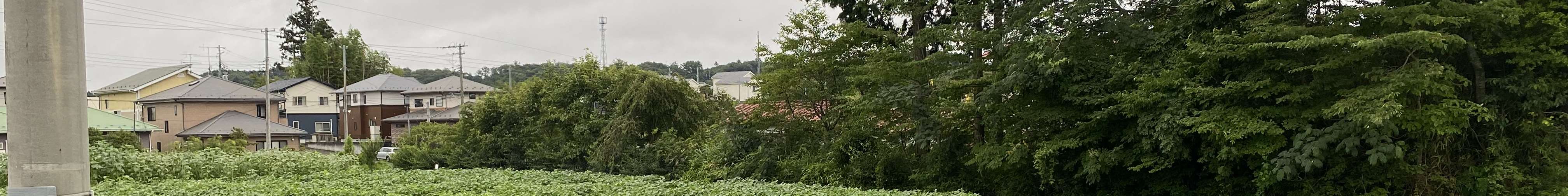 View 8