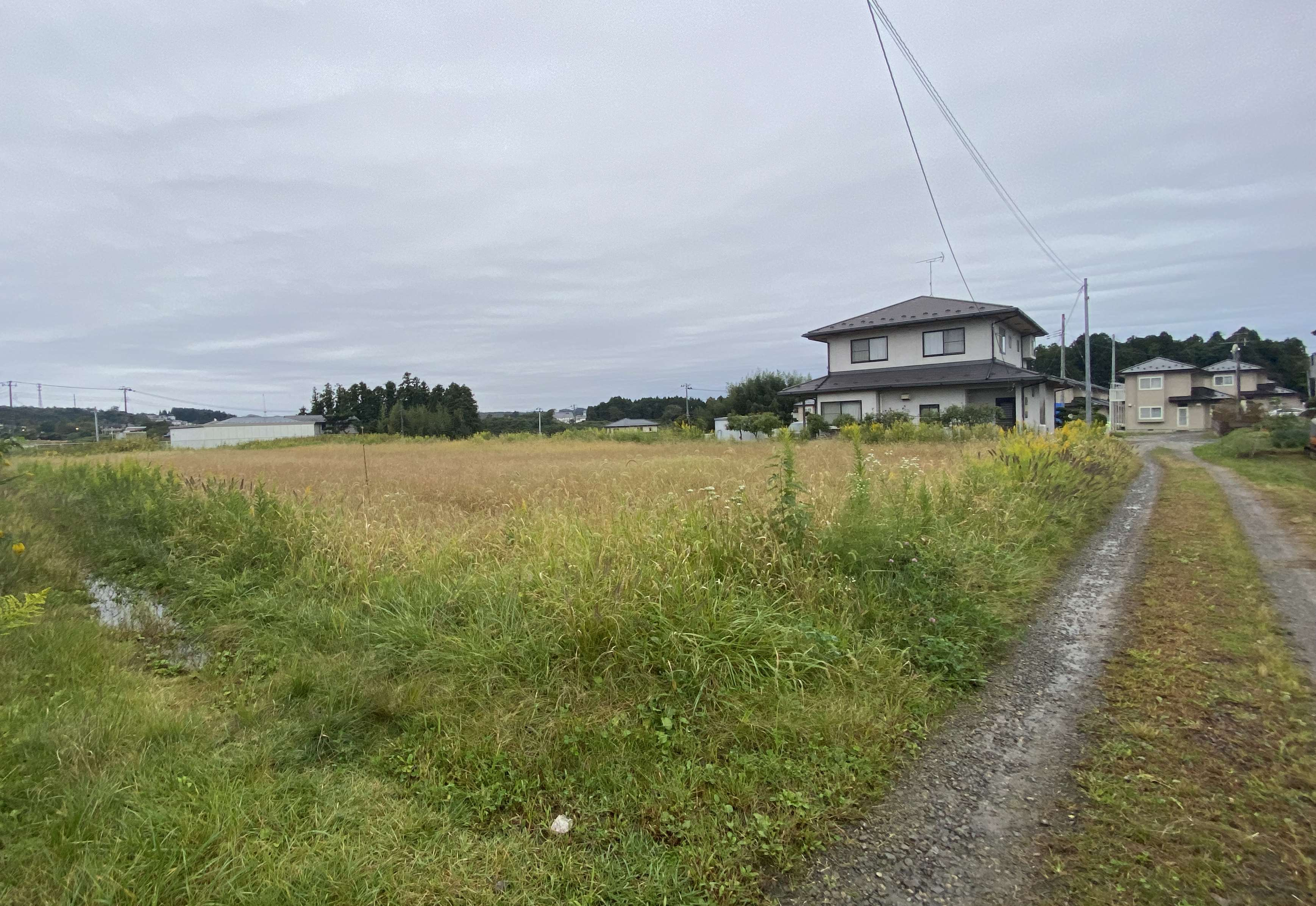 View 10