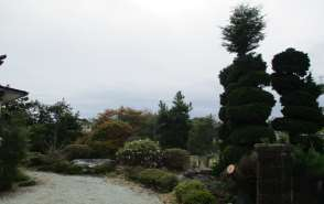 View 15