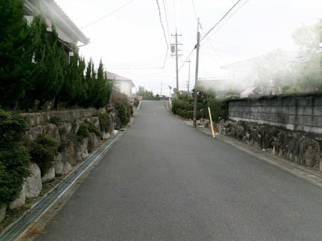 View 8