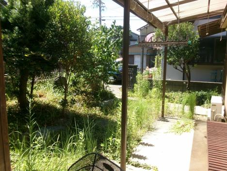 View 9