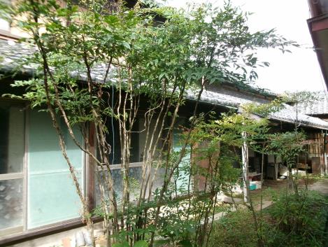 View 6