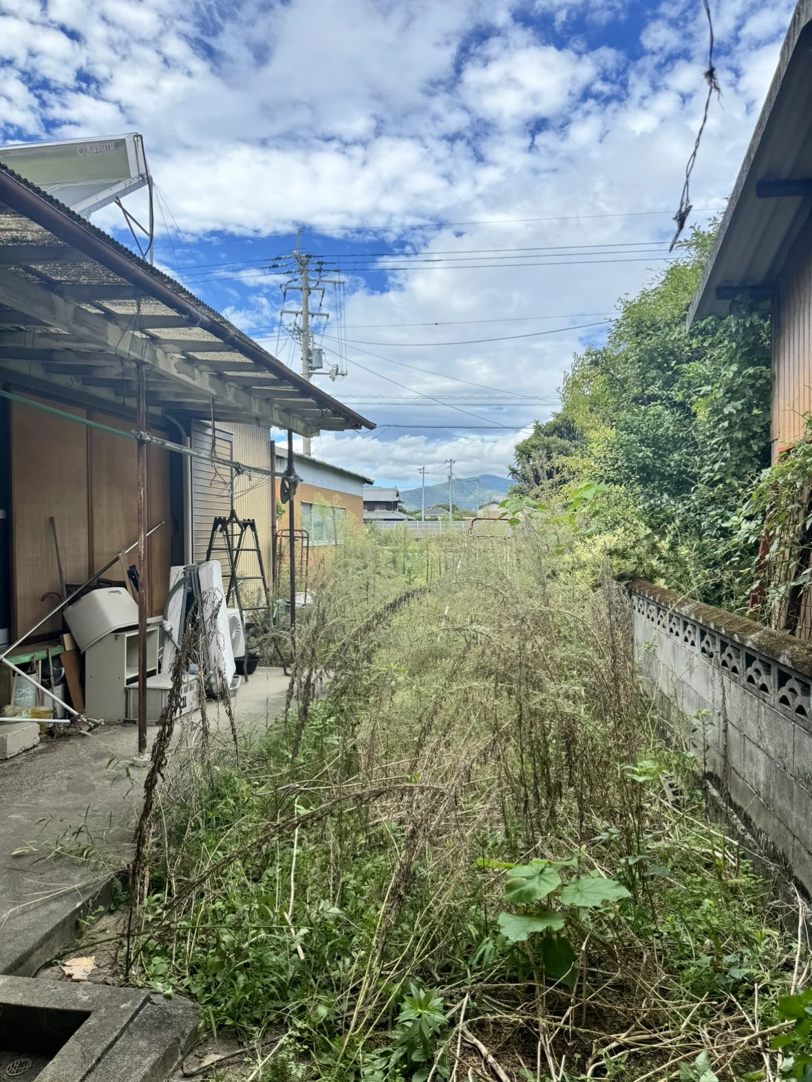 View 17