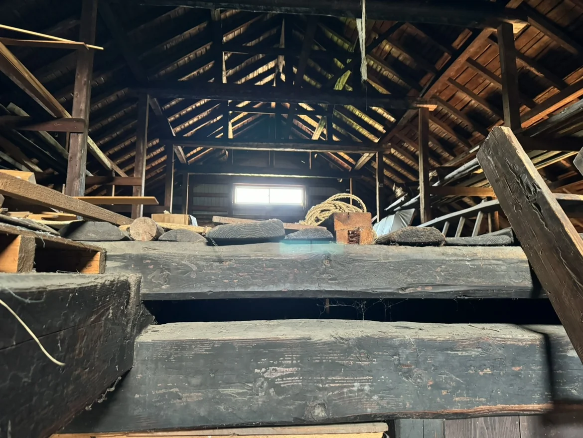 View 20