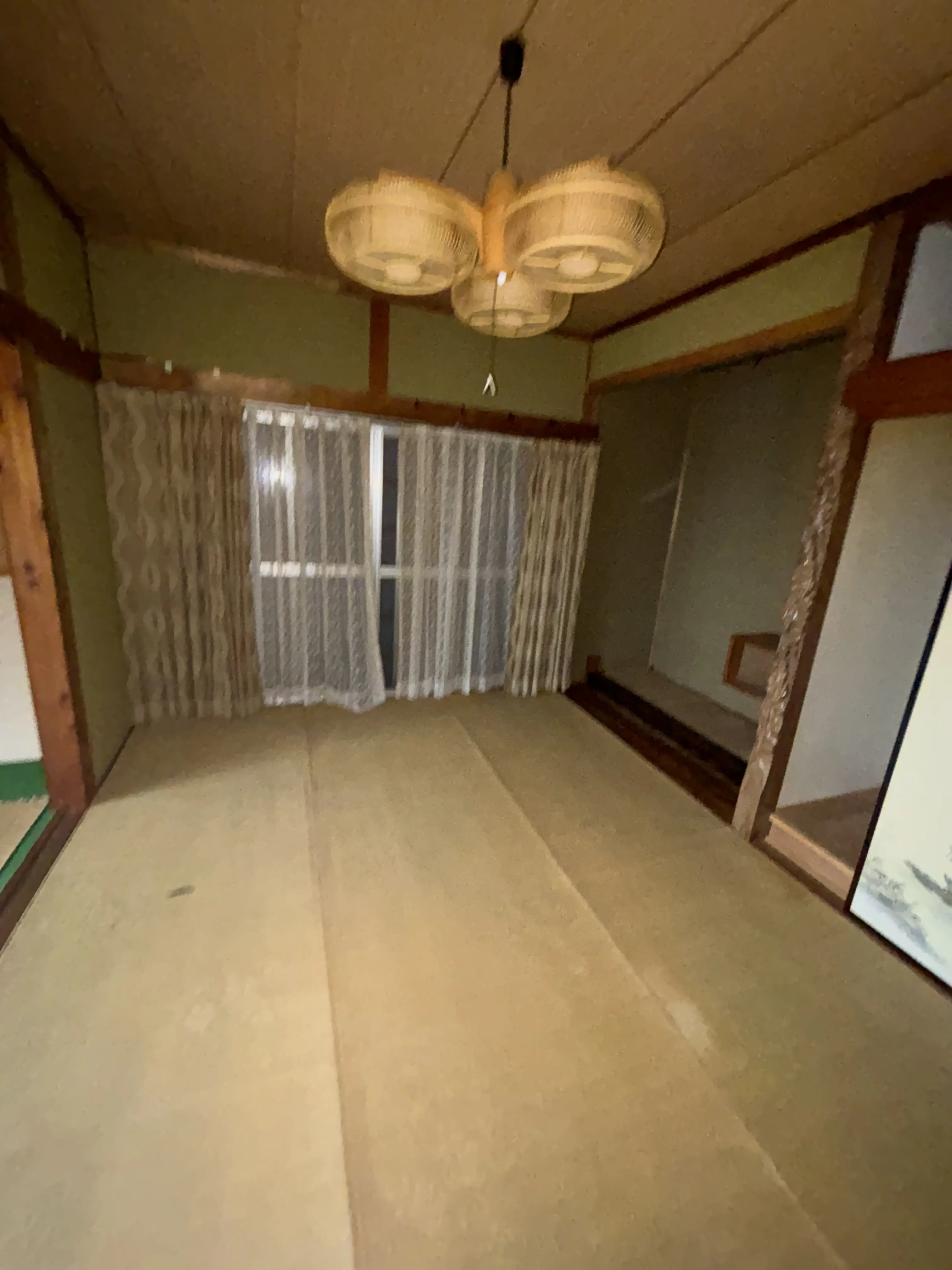 View 51