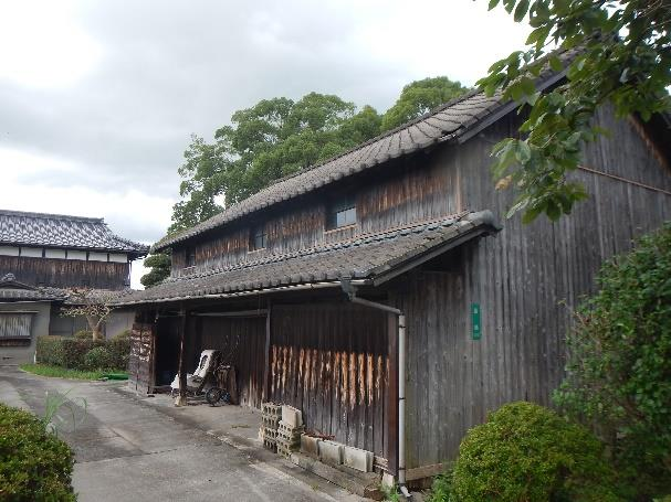 View 8