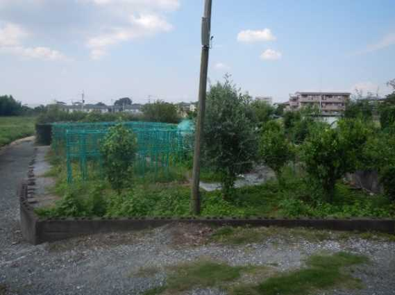 View 5