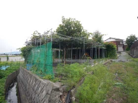 View 3
