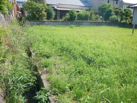 View 2