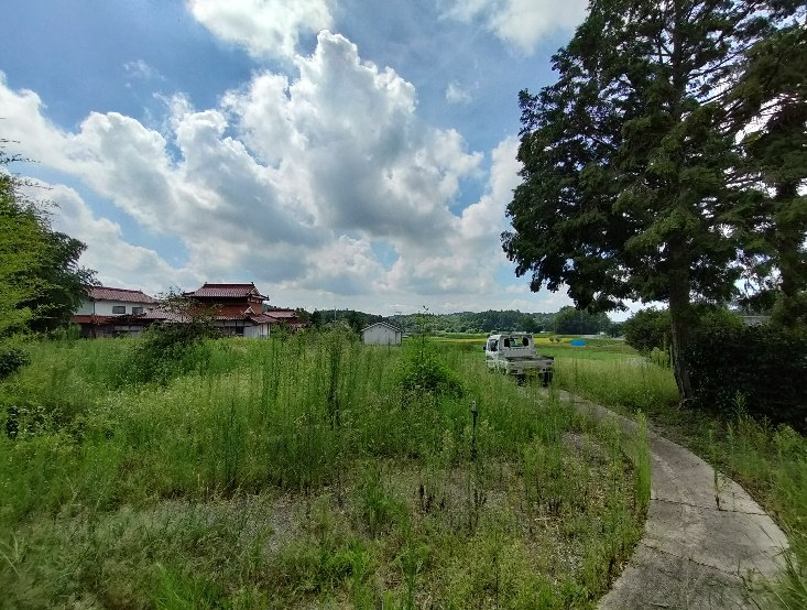View 3