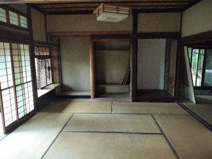 View 4
