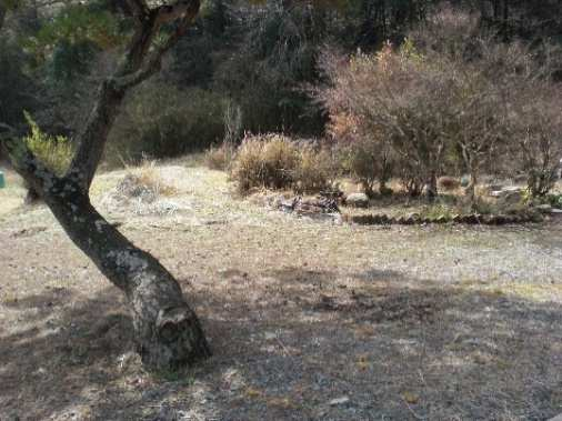 View 10