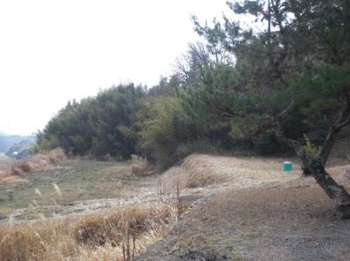View 11