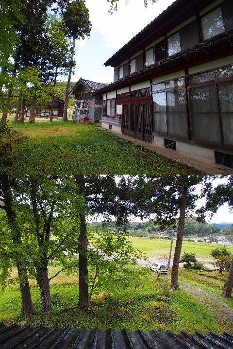 View 5