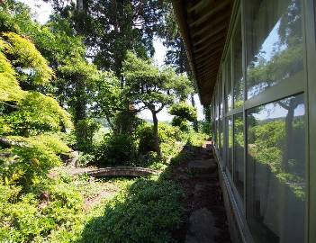 View 8