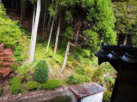 View 37