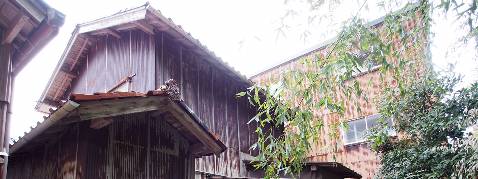View 24