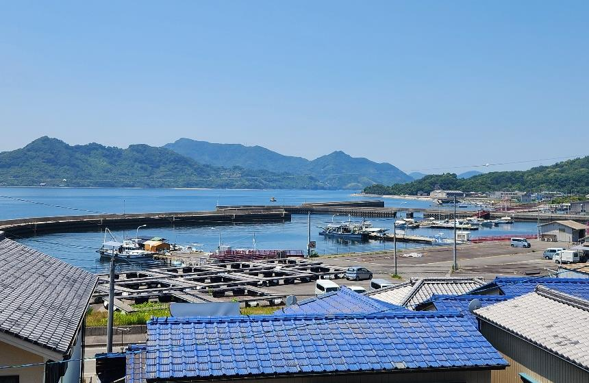 View 6