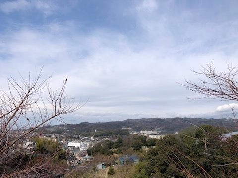 View 5